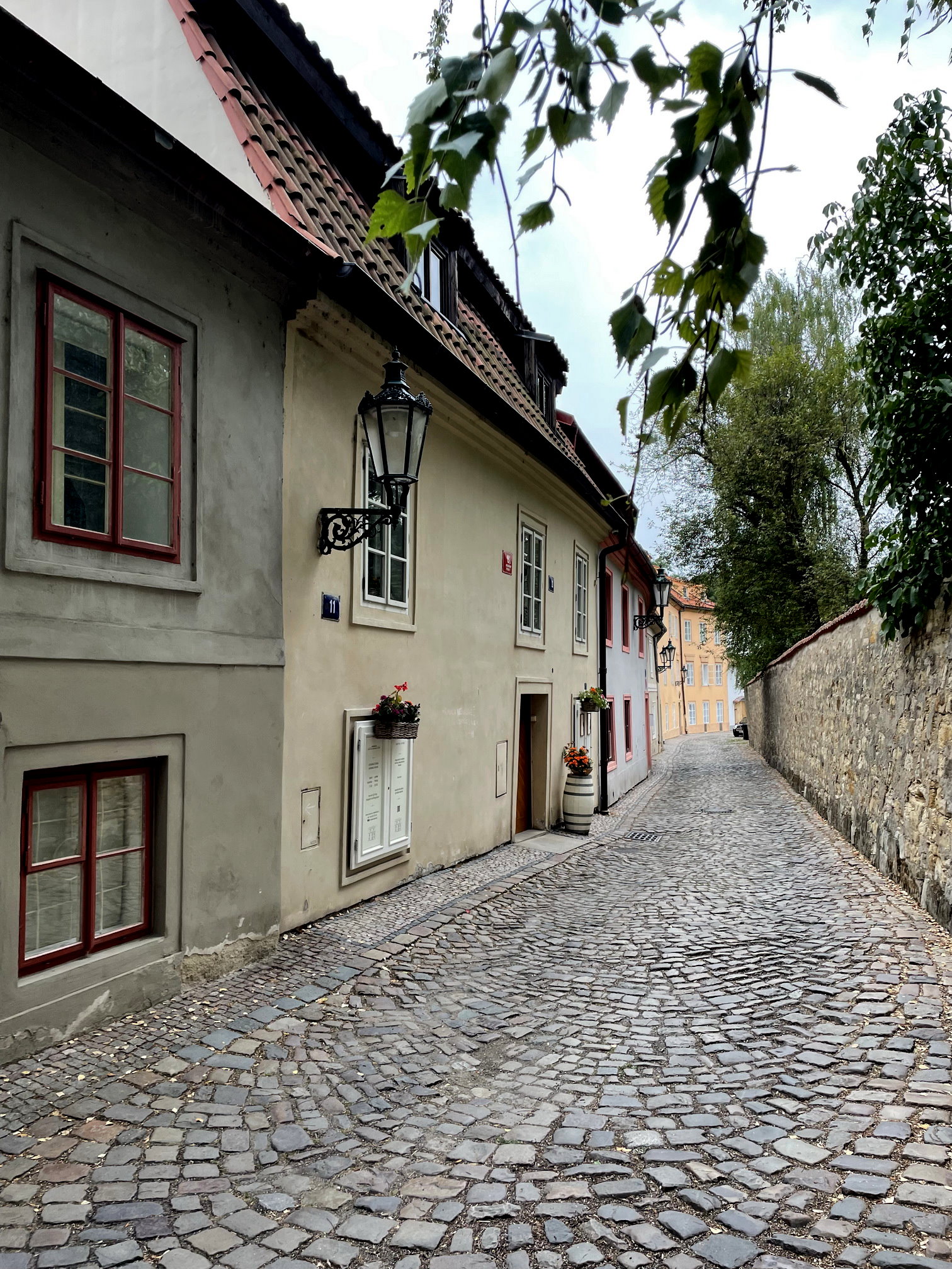 novy svet 04