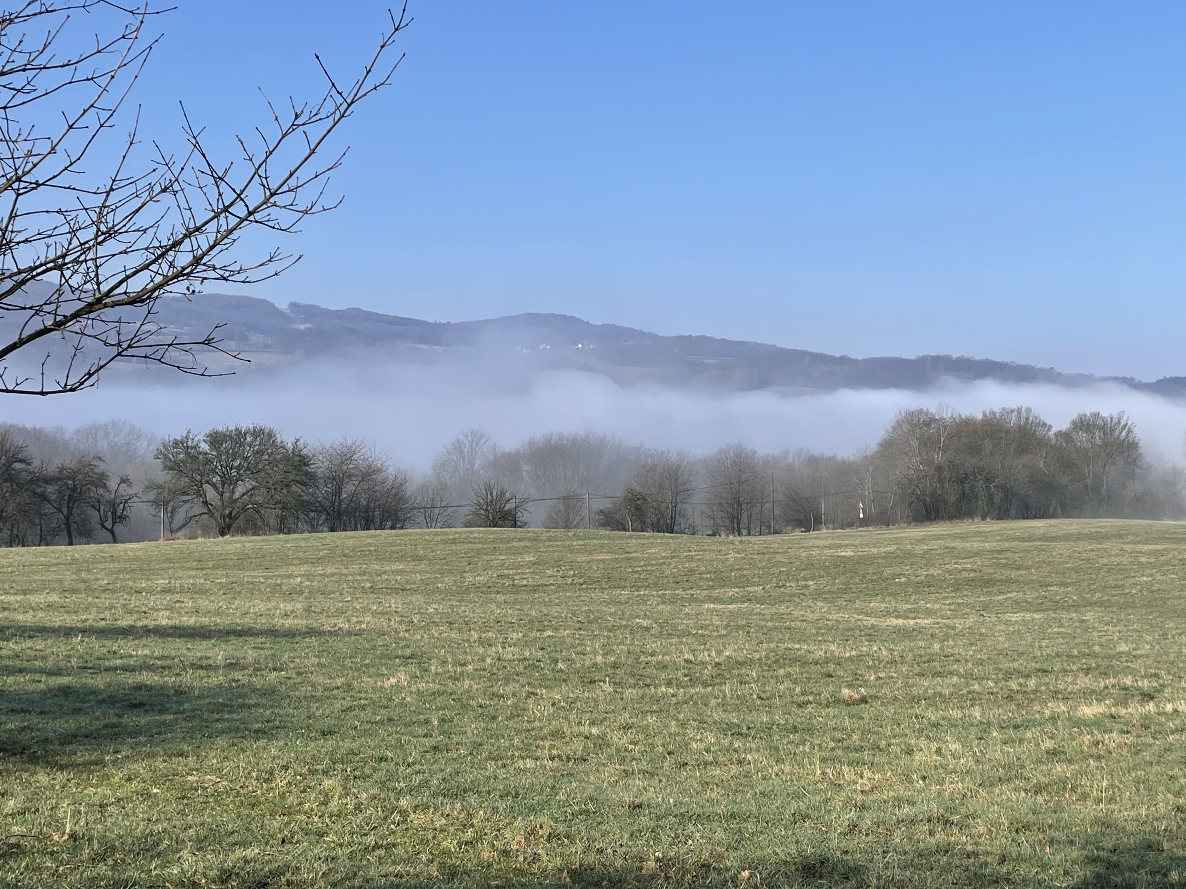 spring fog 04